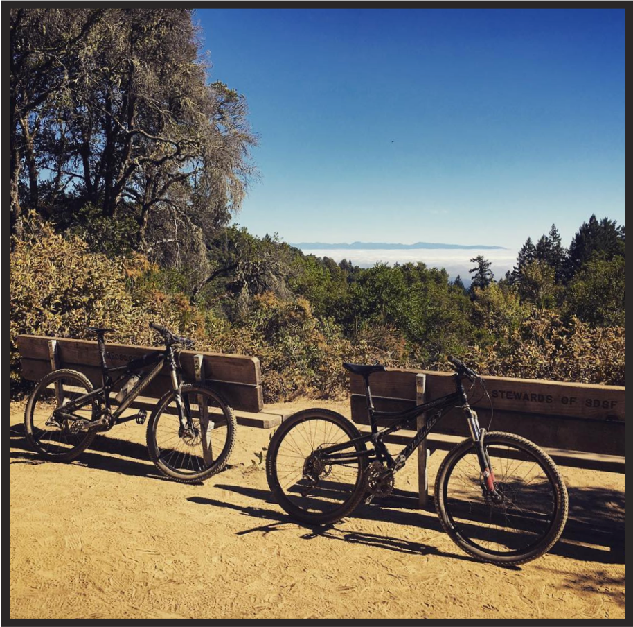 Photo of Bikes